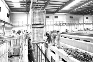 當(dāng)現(xiàn)代工程邂逅歷史回響 福建最大污水處理廠的膜處理提升與文物保護(hù)設(shè)計(jì)